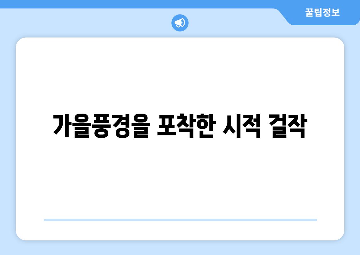 가을풍경을 포착한 시적 걸작