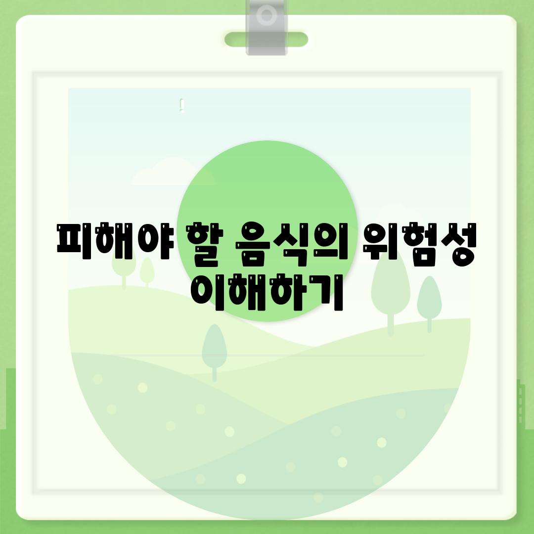 피해야 할 음식의 위험성 이해하기