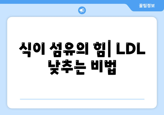 식이 섬유의 힘| LDL 낮추는 비법