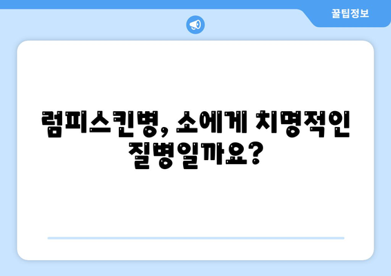 럼피스킨병 사람에 전염되나요? (폐사율)