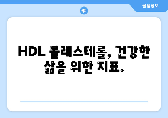 HDL 콜레스테롤 정상수치 (3단계)