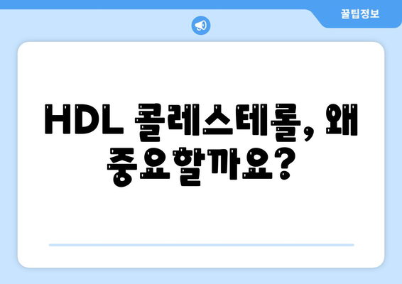 HDL 콜레스테롤 정상수치 (3단계)