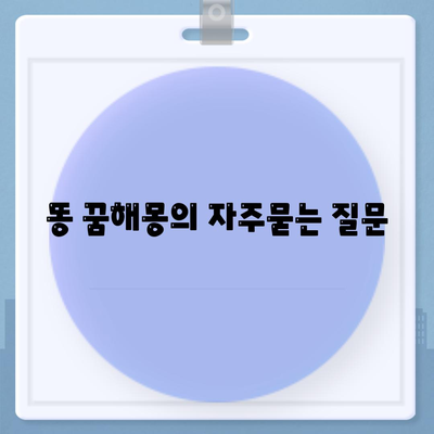 똥 꿈해몽