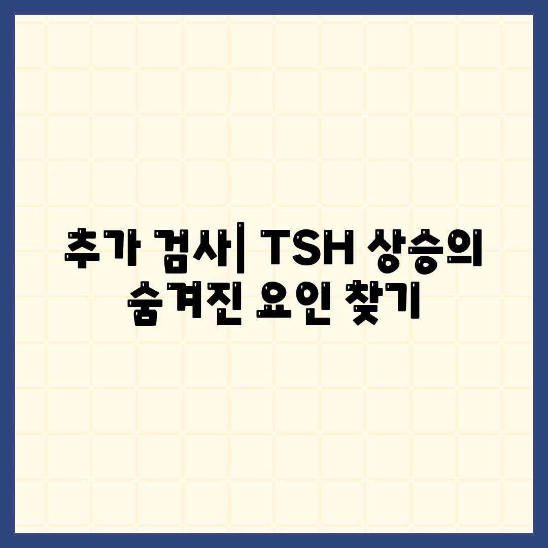 추가 검사| TSH 상승의 숨겨진 요인 찾기