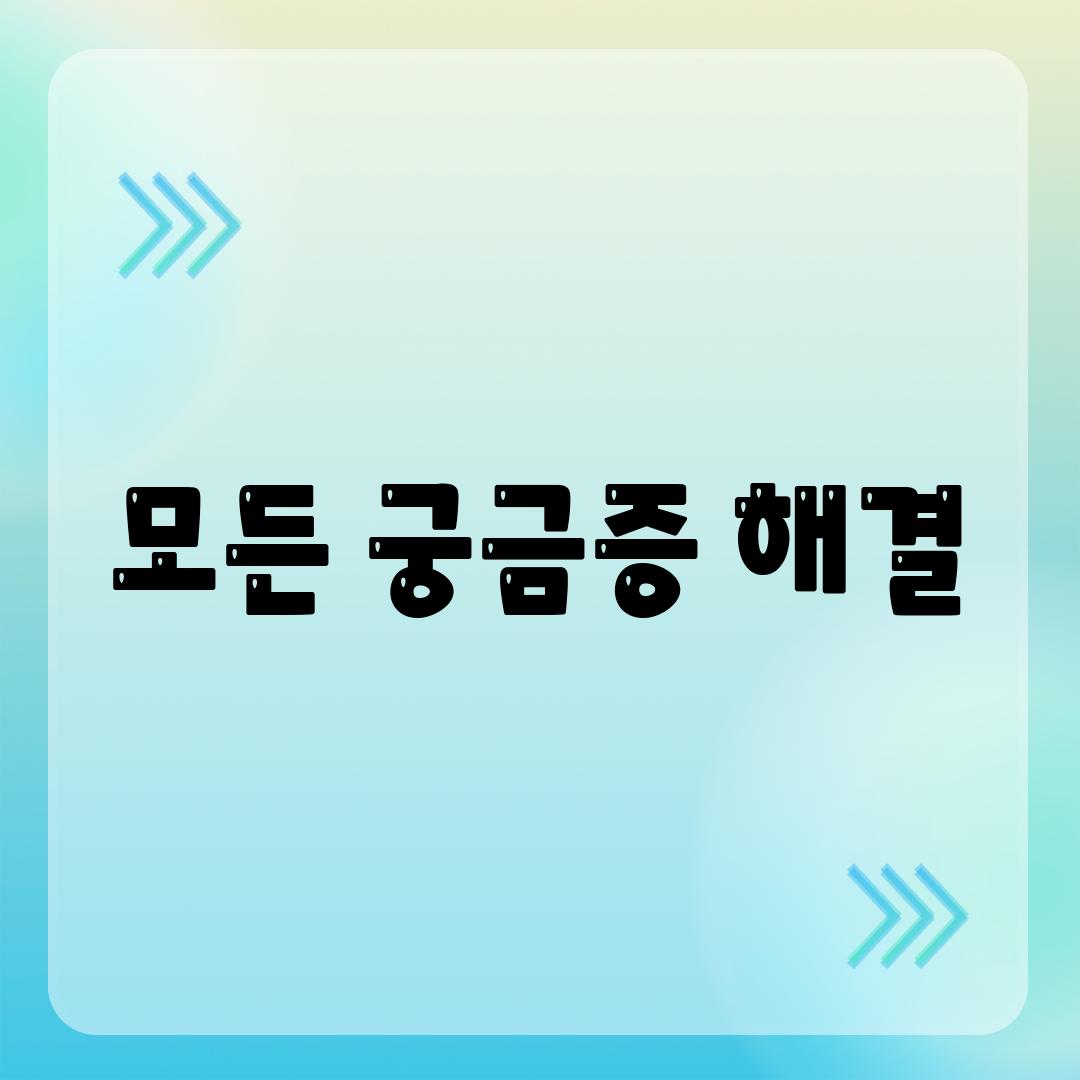 모든 궁금증 해결