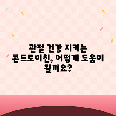 콘드로이친 효능 총정리