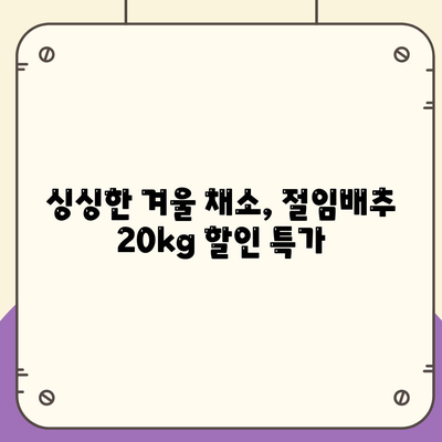 절임배추 20kg 할인 Best3