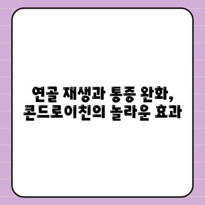 콘드로이친 효능 총정리