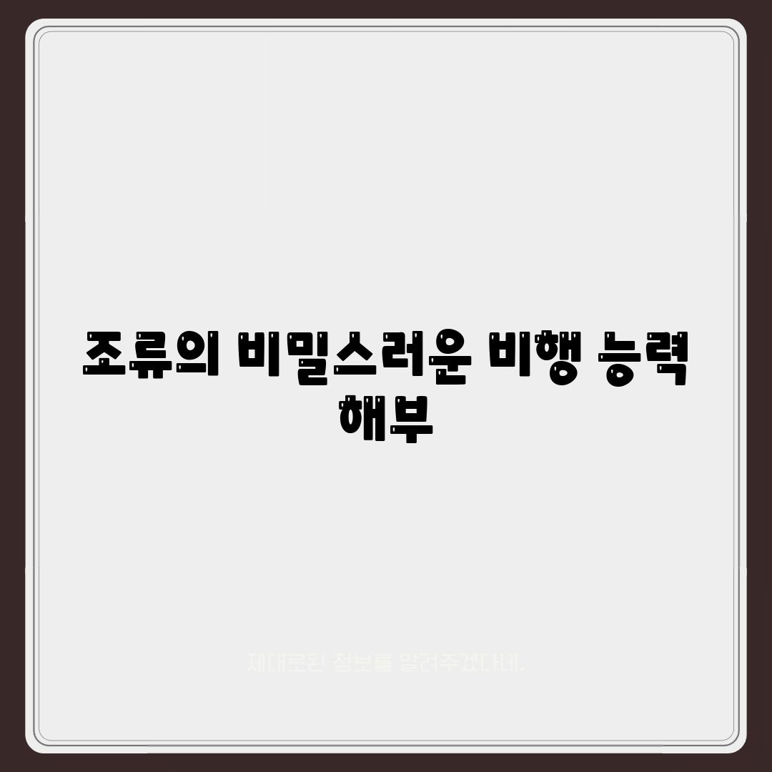 조류의 비밀스러운 비행 능력 해부