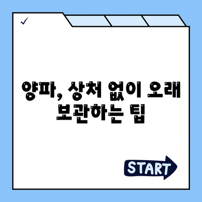 양파 보관법