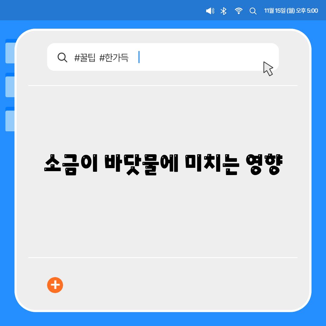 소금이 바닷물에 미치는 영향