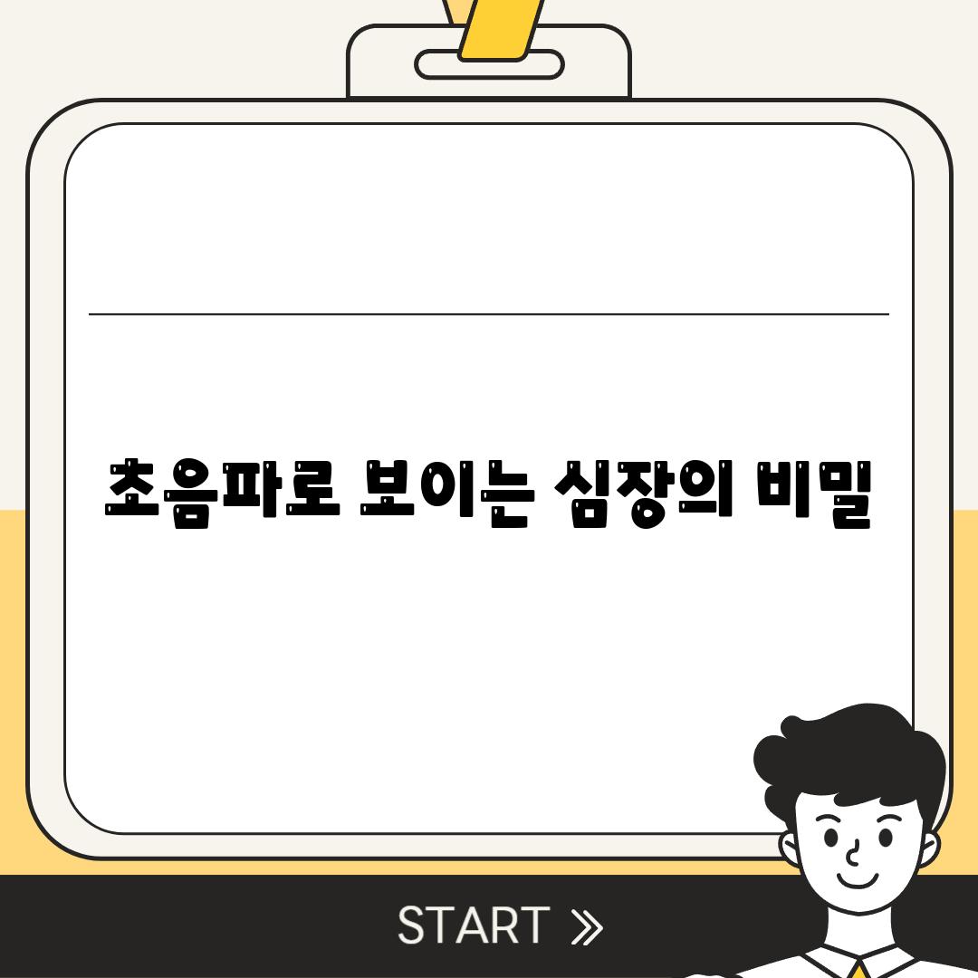 초음파로 보이는 심장의 비밀