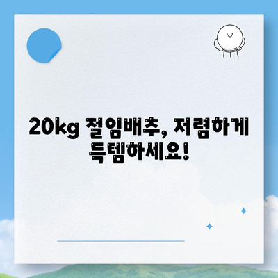 절임배추 20kg 할인 Best3