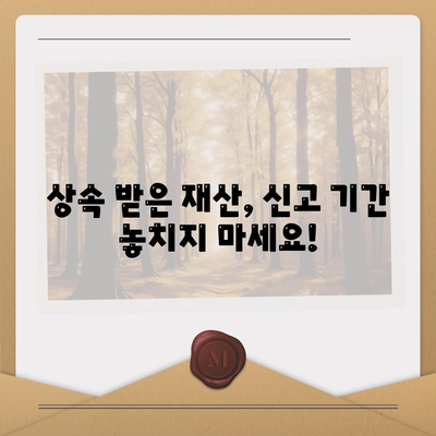 상속세 신고기간 (기한)