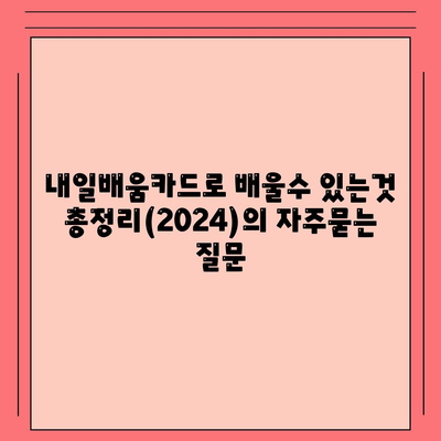 내일배움카드로 배울수 있는것 총정리(2024)