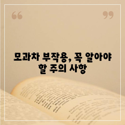 모과차 효능 부작용, 모과차 만드는법, 먹는법 총정리