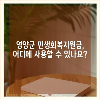 경상북도 영양군 영양읍 민생회복지원금 | 신청 | 신청방법 | 대상 | 지급일 | 사용처 | 전국민 | 이재명 | 2024