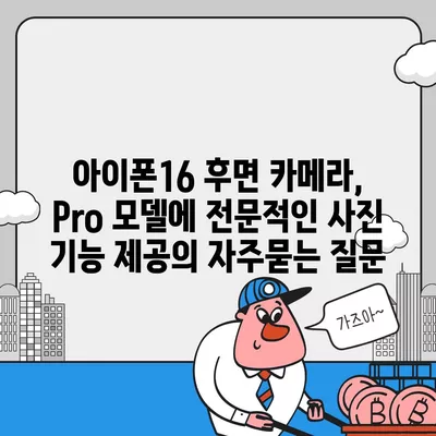 아이폰16 후면 카메라, Pro 모델에 전문적인 사진 기능 제공