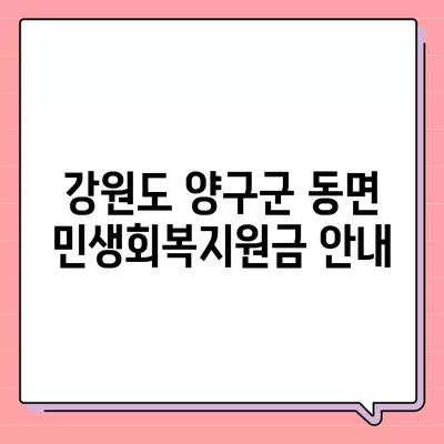 강원도 양구군 동면 민생회복지원금 | 신청 | 신청방법 | 대상 | 지급일 | 사용처 | 전국민 | 이재명 | 2024