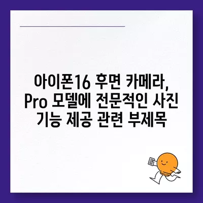 아이폰16 후면 카메라, Pro 모델에 전문적인 사진 기능 제공