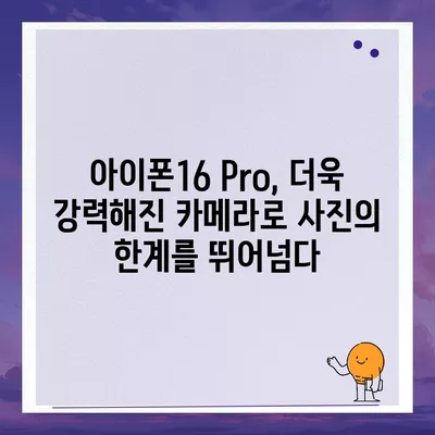 아이폰16 후면 카메라, Pro 모델에 전문적인 사진 기능 제공