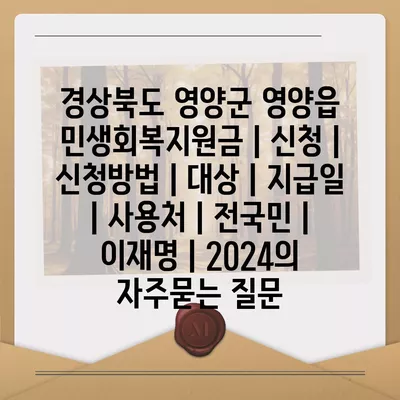 경상북도 영양군 영양읍 민생회복지원금 | 신청 | 신청방법 | 대상 | 지급일 | 사용처 | 전국민 | 이재명 | 2024