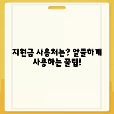 대전시 서구 갈마1동 민생회복지원금 | 신청 | 신청방법 | 대상 | 지급일 | 사용처 | 전국민 | 이재명 | 2024