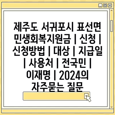 제주도 서귀포시 표선면 민생회복지원금 | 신청 | 신청방법 | 대상 | 지급일 | 사용처 | 전국민 | 이재명 | 2024