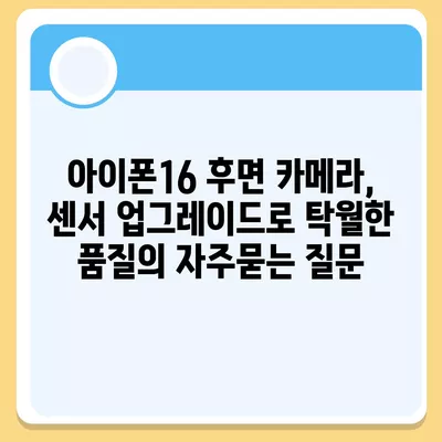 아이폰16 후면 카메라, 센서 업그레이드로 탁월한 품질