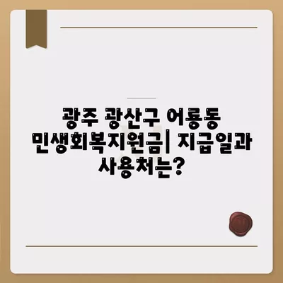 광주시 광산구 어룡동 민생회복지원금 | 신청 | 신청방법 | 대상 | 지급일 | 사용처 | 전국민 | 이재명 | 2024