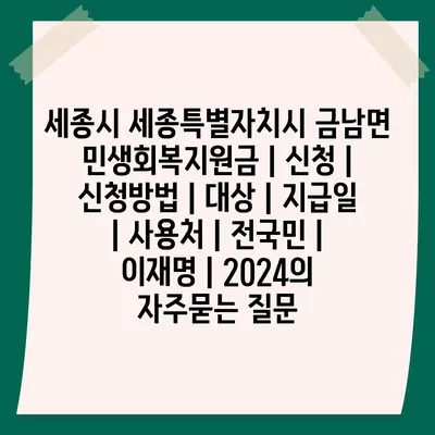 세종시 세종특별자치시 금남면 민생회복지원금 | 신청 | 신청방법 | 대상 | 지급일 | 사용처 | 전국민 | 이재명 | 2024