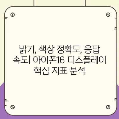 디스플레이 성능을 평가하는 아이폰16 벤치마크