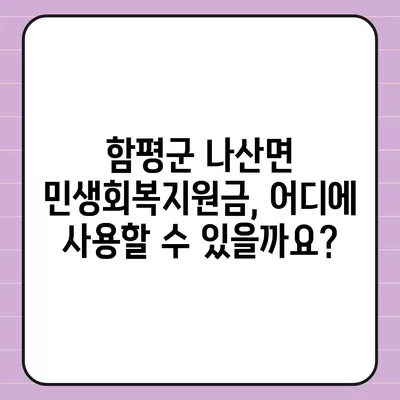 전라남도 함평군 나산면 민생회복지원금 | 신청 | 신청방법 | 대상 | 지급일 | 사용처 | 전국민 | 이재명 | 2024