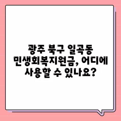 광주시 북구 일곡동 민생회복지원금 | 신청 | 신청방법 | 대상 | 지급일 | 사용처 | 전국민 | 이재명 | 2024