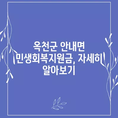 충청북도 옥천군 안내면 민생회복지원금 | 신청 | 신청방법 | 대상 | 지급일 | 사용처 | 전국민 | 이재명 | 2024