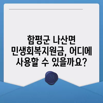 전라남도 함평군 나산면 민생회복지원금 | 신청 | 신청방법 | 대상 | 지급일 | 사용처 | 전국민 | 이재명 | 2024