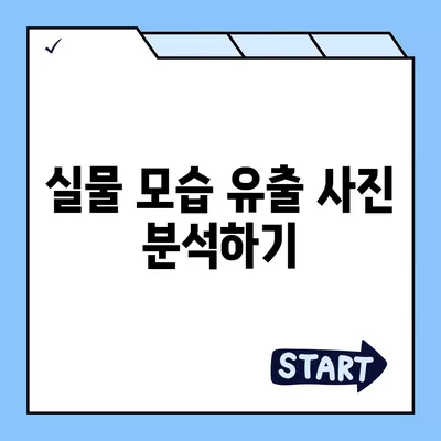 아이폰 16 프로 디자인과 출시일 | 실물 모습은?