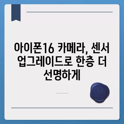 아이폰16 후면 카메라, 센서 업그레이드로 탁월한 품질