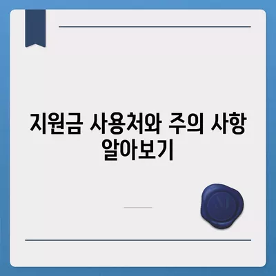 광주시 서구 농성2동 민생회복지원금 | 신청 | 신청방법 | 대상 | 지급일 | 사용처 | 전국민 | 이재명 | 2024