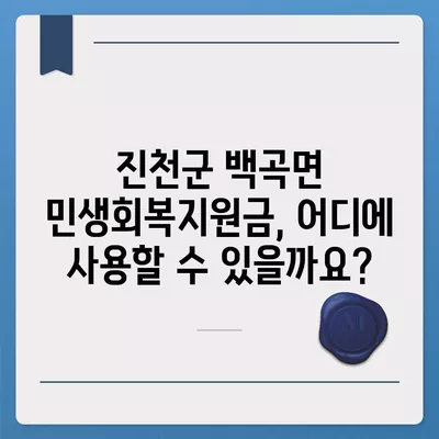 충청북도 진천군 백곡면 민생회복지원금 | 신청 | 신청방법 | 대상 | 지급일 | 사용처 | 전국민 | 이재명 | 2024