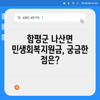 전라남도 함평군 나산면 민생회복지원금 | 신청 | 신청방법 | 대상 | 지급일 | 사용처 | 전국민 | 이재명 | 2024