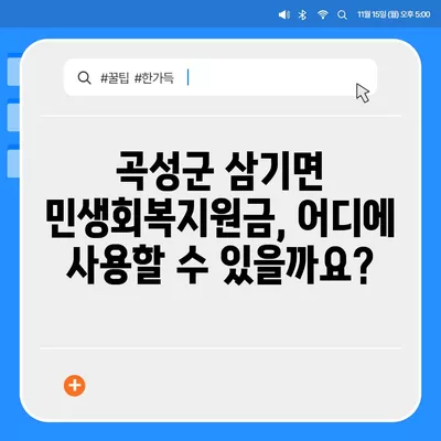 전라남도 곡성군 삼기면 민생회복지원금 | 신청 | 신청방법 | 대상 | 지급일 | 사용처 | 전국민 | 이재명 | 2024