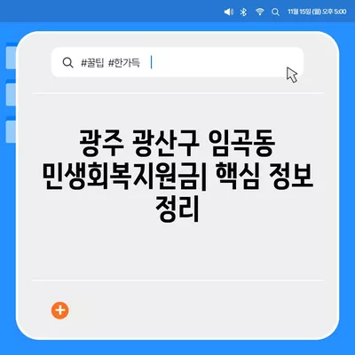 광주시 광산구 임곡동 민생회복지원금 | 신청 | 신청방법 | 대상 | 지급일 | 사용처 | 전국민 | 이재명 | 2024