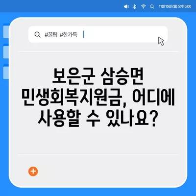 충청북도 보은군 삼승면 민생회복지원금 | 신청 | 신청방법 | 대상 | 지급일 | 사용처 | 전국민 | 이재명 | 2024