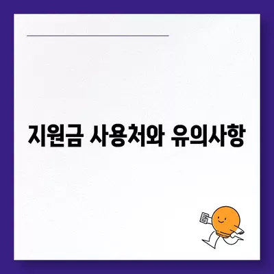 대전시 서구 월평2동 민생회복지원금 | 신청 | 신청방법 | 대상 | 지급일 | 사용처 | 전국민 | 이재명 | 2024