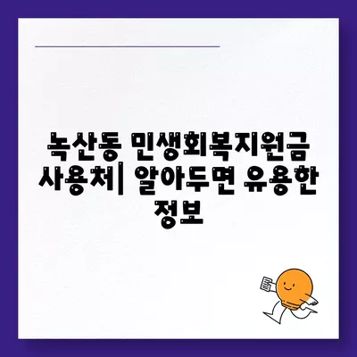 부산시 강서구 녹산동 민생회복지원금 | 신청 | 신청방법 | 대상 | 지급일 | 사용처 | 전국민 | 이재명 | 2024