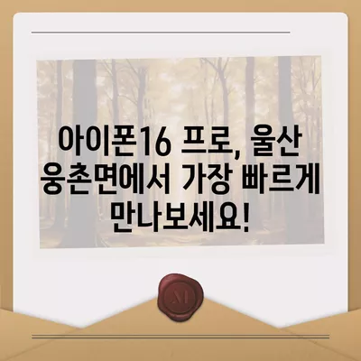 울산시 울주군 웅촌면 아이폰16 프로 사전예약 | 출시일 | 가격 | PRO | SE1 | 디자인 | 프로맥스 | 색상 | 미니 | 개통