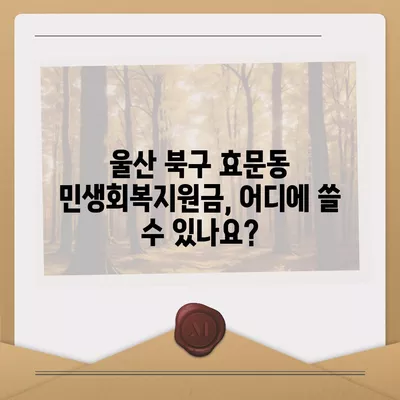 울산시 북구 효문동 민생회복지원금 | 신청 | 신청방법 | 대상 | 지급일 | 사용처 | 전국민 | 이재명 | 2024