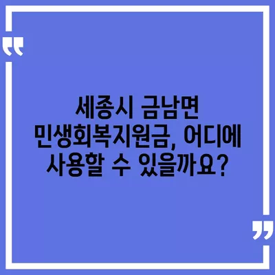 세종시 세종특별자치시 금남면 민생회복지원금 | 신청 | 신청방법 | 대상 | 지급일 | 사용처 | 전국민 | 이재명 | 2024