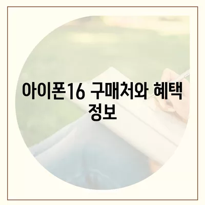 아이폰16의 디자인, 출시일, 색상 정리 | 사전 예약 어디서?